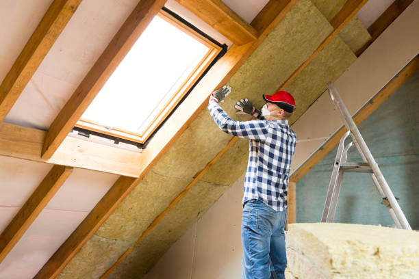 Types of Insulation We Offer in Genesee, ID